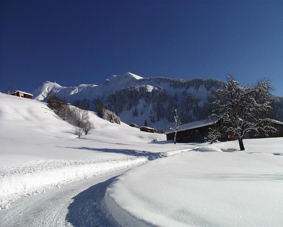 Ferienwohnungen Moosbrugger Au (Vorarlberg) Exterior foto