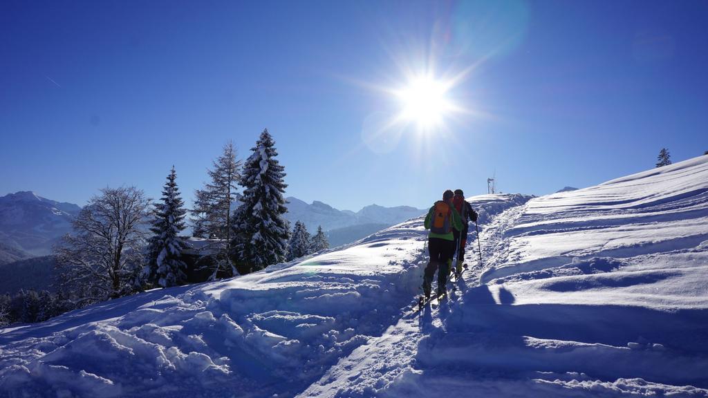 Ferienwohnungen Moosbrugger Au (Vorarlberg) Exterior foto