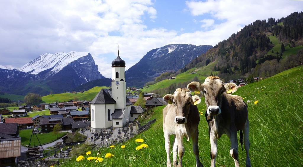 Ferienwohnungen Moosbrugger Au (Vorarlberg) Exterior foto