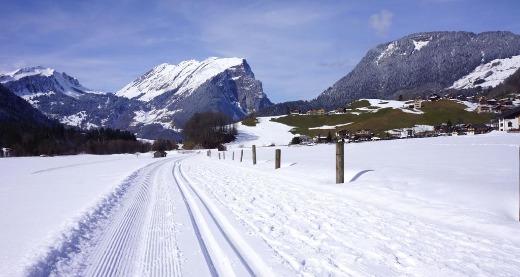 Ferienwohnungen Moosbrugger Au (Vorarlberg) Exterior foto