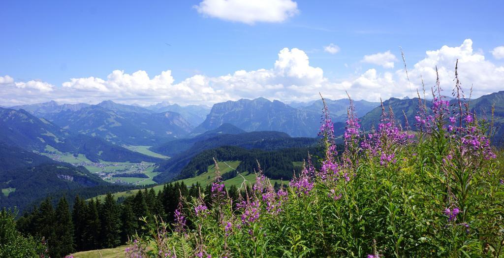 Ferienwohnungen Moosbrugger Au (Vorarlberg) Exterior foto